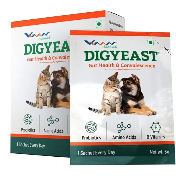 Vvaan Digyeast Pouch for Dogs & Cats â€“ Probiotic & Digestive Enzyme Supplement