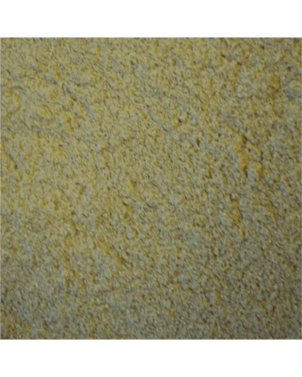 Oxbow Critical Care Herbivore Fine Grind Papaya 100g â€“ Premium Recovery Food for Small Herbivores, Rabbits, Guinea Pigs, Chinchillas