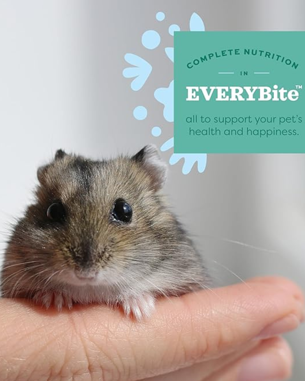 Oxbow Animal Health Healthy Handfuls Dry Hamster And Gerbil Fortified Small Animal Feeds 454gm