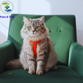 Paws & Tailsâ„¢ Adjustable Cat Harness and Leash Set