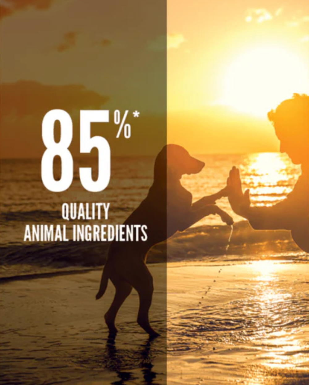 Orijen Puppy Dry Food (All Breeds)