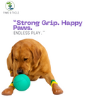 NON-SLIP WATERPROOF SOCKS FOR DOGS - SET OF 4