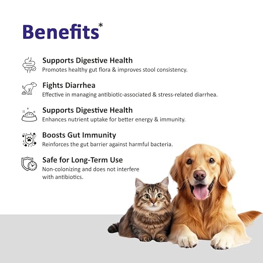 Ecora Corise Gutora-SB 250mg Saccharomyces Boulardii Capsules for Dogs & Cats | Probiotic Yeast