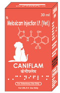 Canicon Caniflam Meloxicam Injection for Dogs & Cats â€“ Fast Pain Relief