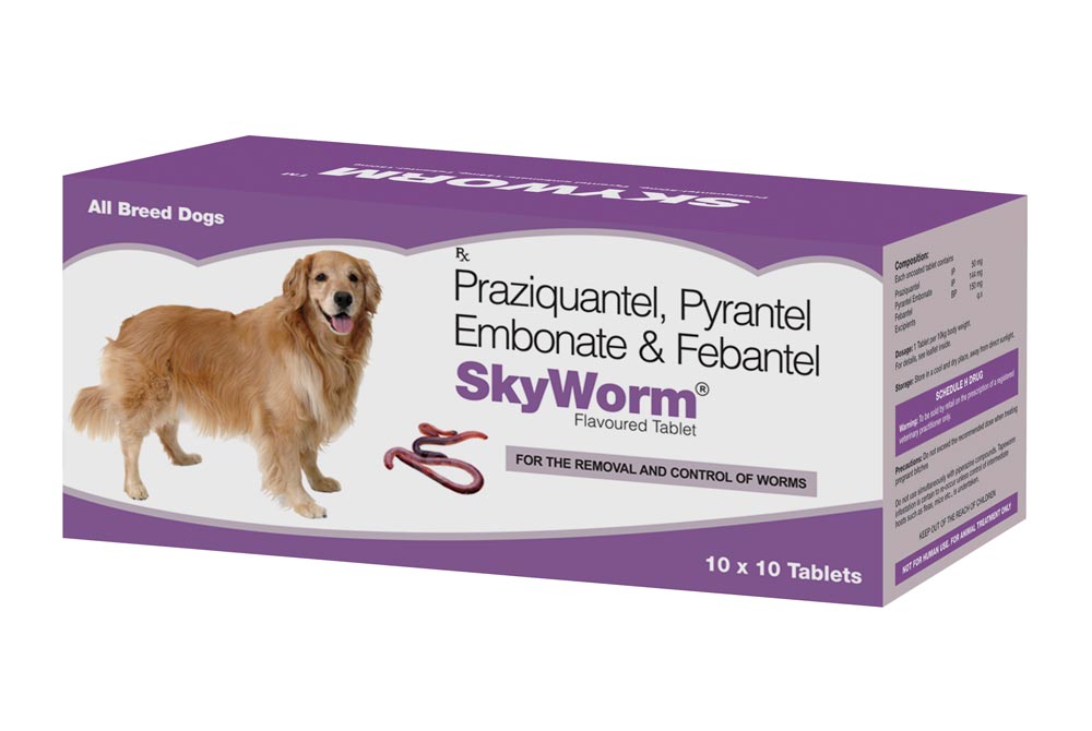 Skyec Skyworm 10'S Dog Tablets For Deworming