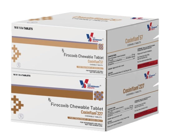 Drools Coxinflam Tablet for Dogs â€“ Pain Relief, Anti-Inflammatory