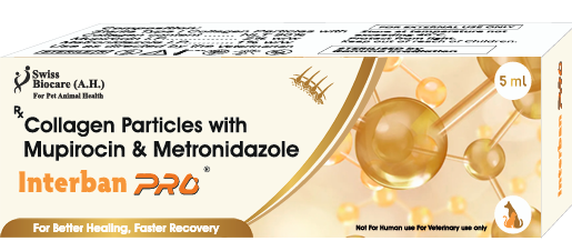 Swiss Biocare Interban Pro Advanced Wound Healing Gel