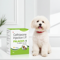 Oriheal Palacef-1 1g Injection â€“ Veterinary Injection for Animals | Trusted Oriheal Animal Health Product