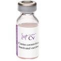 Canishot CV Vaccine for Dogs â€“ Canine Coronavirus Protection | Subcutaneous Injection | 1 Dose