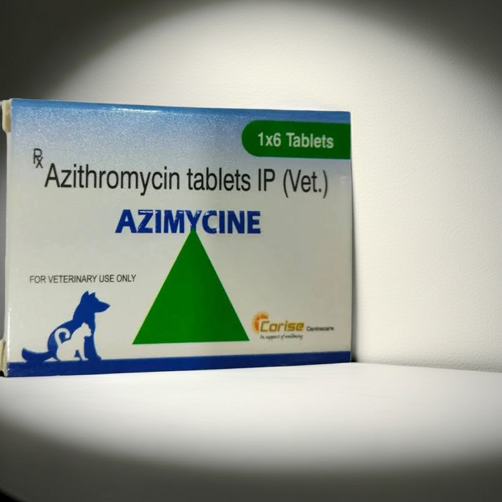 Corise Azimycine 500mg Tablets 6's â€“ Broad-Spectrum Antibiotic for Bacterial Infections