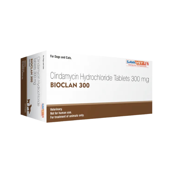 Savavet Bioclan (Clindamycin) Tablets for Dogs & Cats | Vet Antibiotic Medicine for Pets