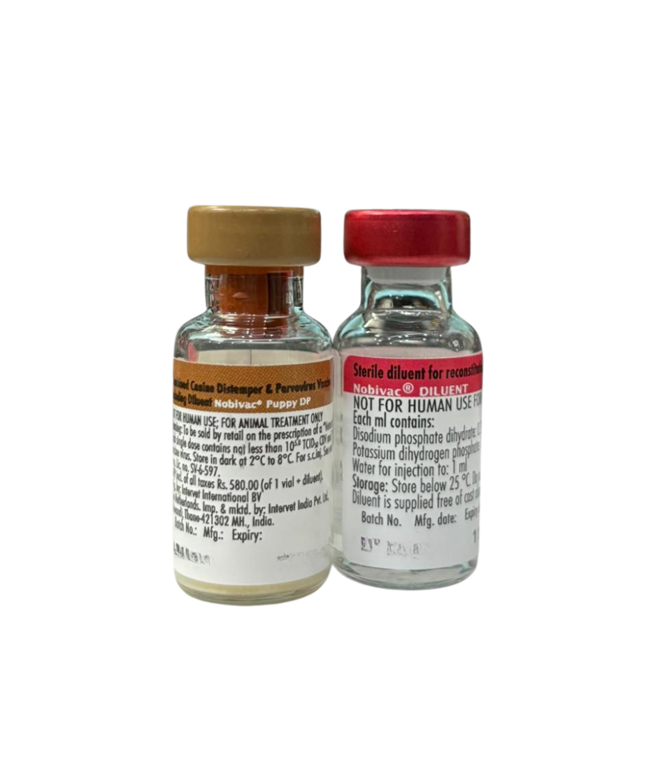 MSD Nobivac Puppy DP Vaccine 1 Dose for Dogs â€“ Canine Distemper & Parvovirus Protection | Puppy Core Vaccine