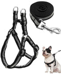 Paws & Tailsâ„¢ Reflective 20MM Dog Harness & Leash Set