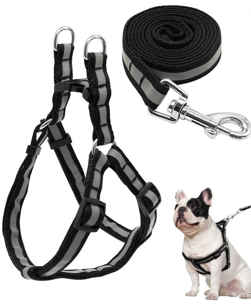 Paws & Tailsâ„¢ Reflective 20MM Dog Harness & Leash Set
