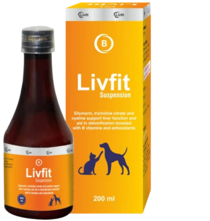 Bionex Livfit Suspensionâ€“ Liver Health & Detox Support | Herbal & Natural Formula