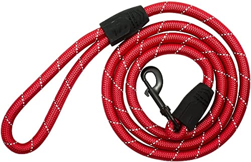 PAWS & Tailsâ„¢ Premium Large Nylon Rope Dog Collar â€“ Strong & Durable Design