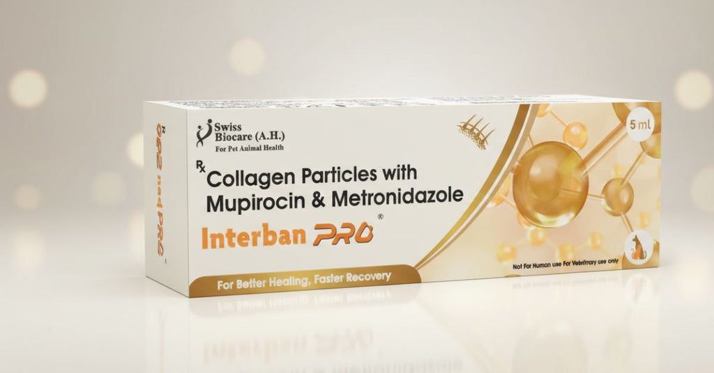 Swiss Biocare Interban Pro Advanced Wound Healing Gel