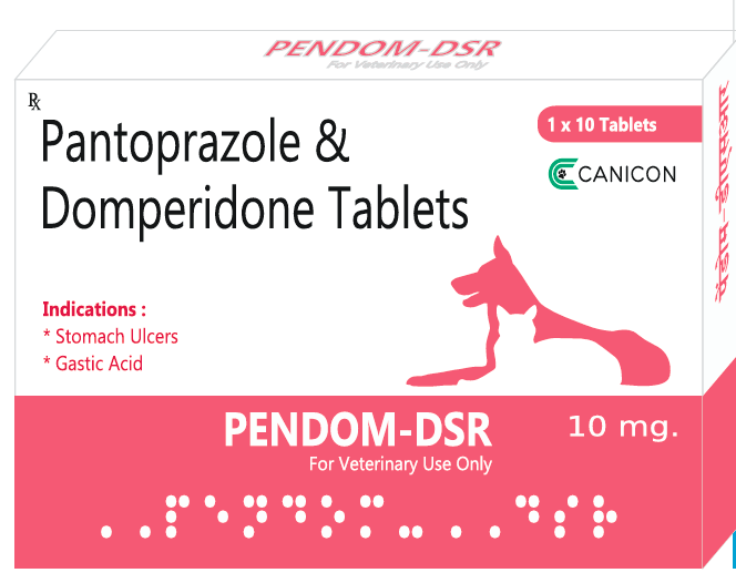 Canicon Pandom DSR 10 Capsules | Pantoprazole + Domperidone for Acidity
