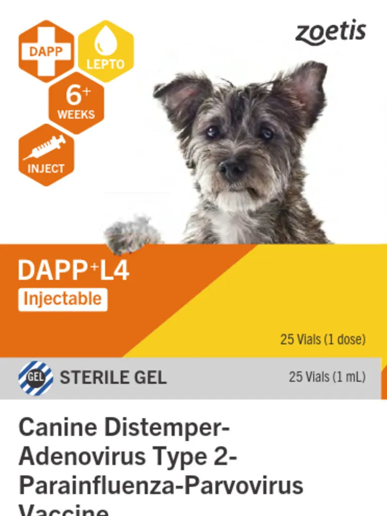 Zoetis Vanguard DAPP+L4 Canine Vaccine 1 Dose â€“ Distemper, Parvo, Adenovirus, Parainfluenza & Leptospirosis Protection