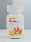 VVAAN NIADERM 500 MG-30'S Tablets