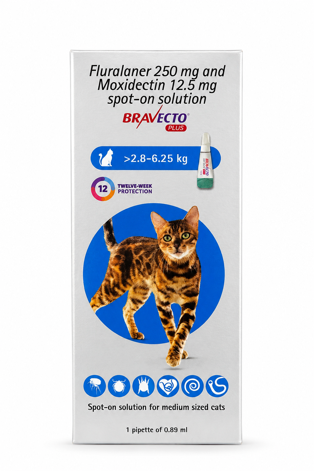 MSD Bravecto Plus Spot-On for Cats | Flea, Tick & Worm Treatment