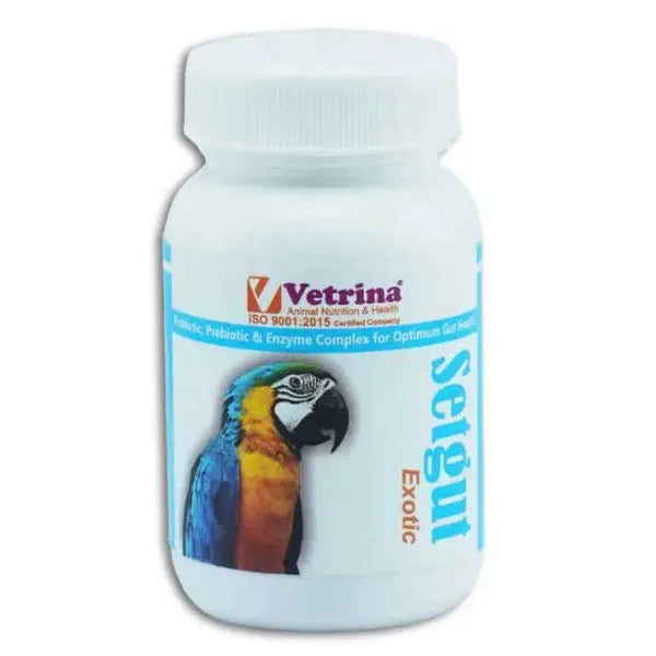 Vetrina Setgut Exotic Powder for Birds (50g) | Probiotic & Prebiotic Gut Health Supplement