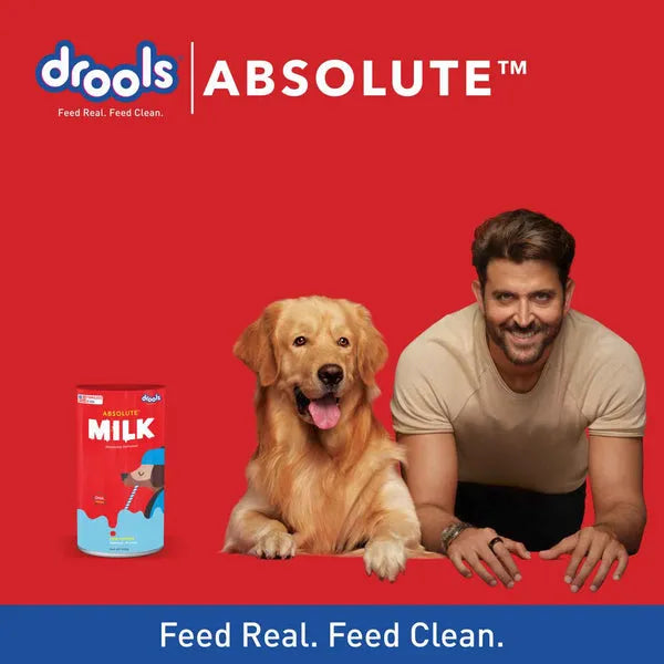 Drools Absolute Milk Replacer for Puppies & Kittens 500g