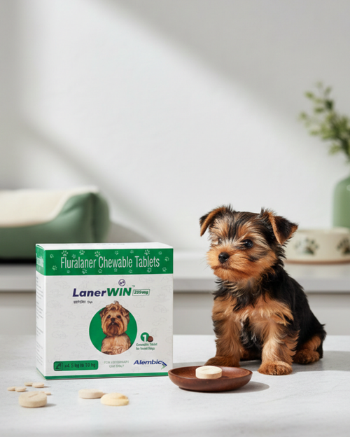 Alembic Lanerwin Fluralaner Dog Tick & Flea Control Tablet