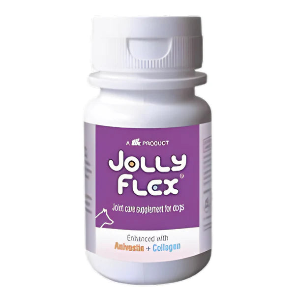 TTK Jolly Flex 30 Tablets â€“ Joint Support Supplement for Pain Relief, Flexibility & Bone Health