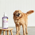 Bio Clean Max Shine Pet Shampoo 200ml â€“ Premium Conditioning Dog & Cat Shampoo for Shiny Coat and Deep Cleaning