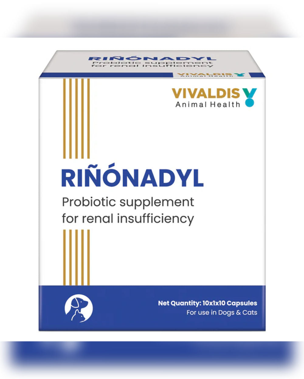 Vivaldis Rinonadyl Capsules 1 Strip | Kidney Support Supplement | Helps Maintain Renal Health