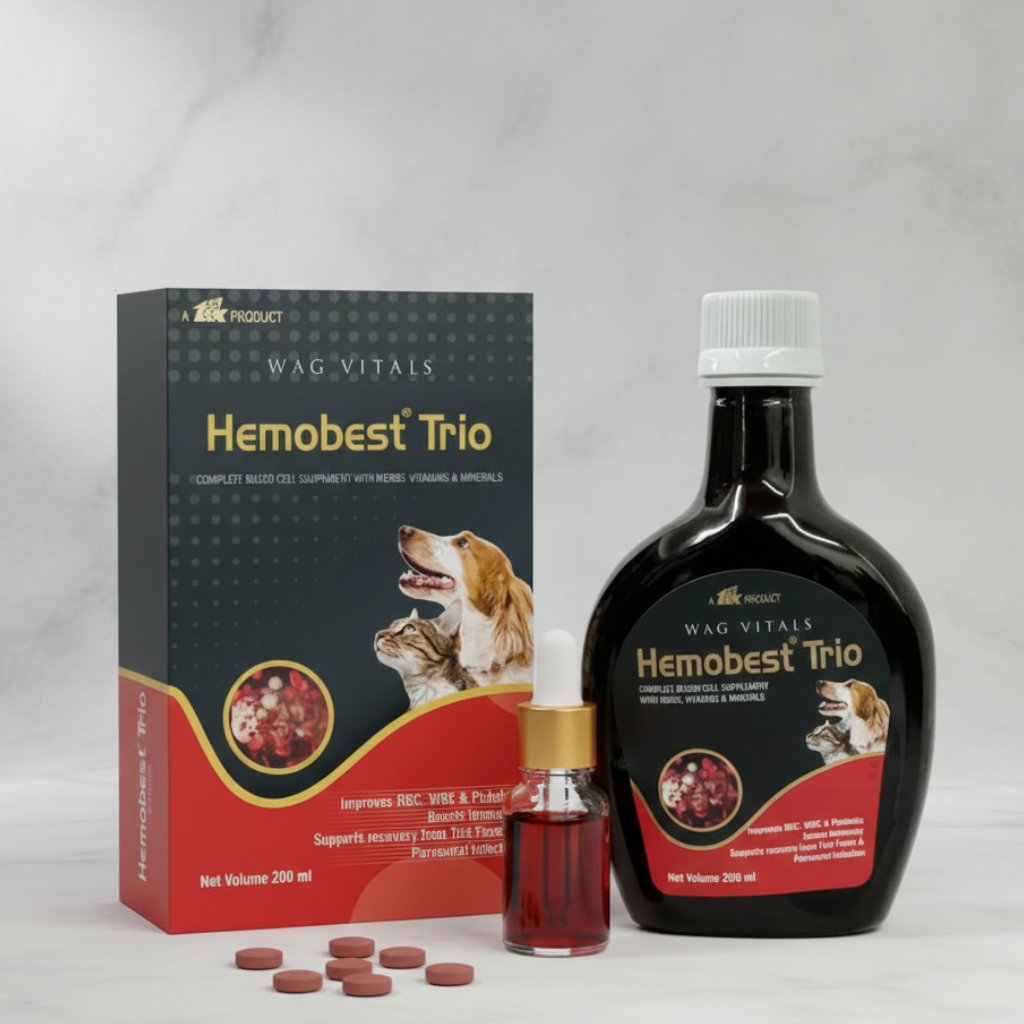 TTK Hemobest Trio Syrup 200ml for Dogs & Cats â€“ Veterinary Multivitamin Supplement