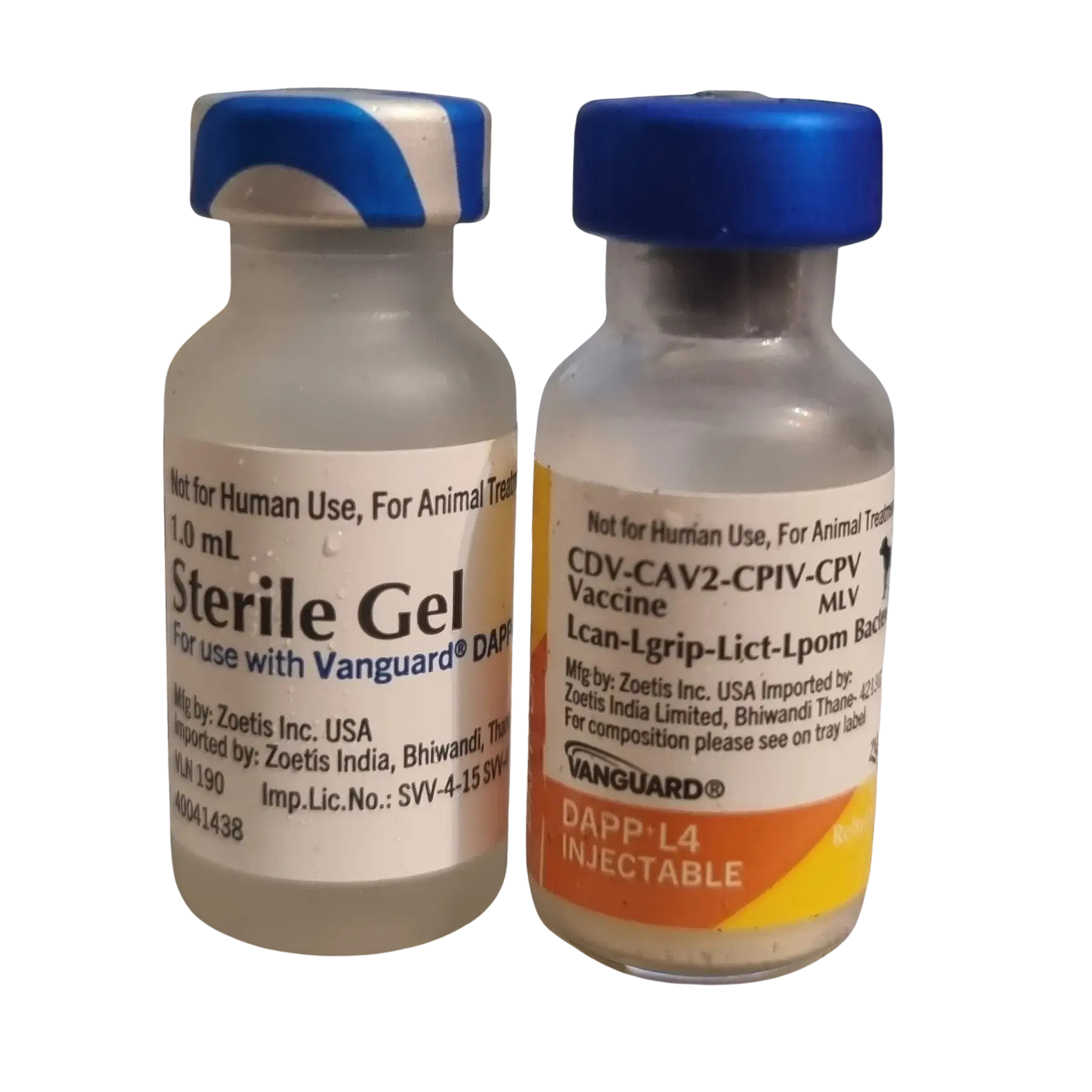 Zoetis Vanguard DAPP+L4 Canine Vaccine 1 Dose â€“ Distemper, Parvo, Adenovirus, Parainfluenza & Leptospirosis Protection