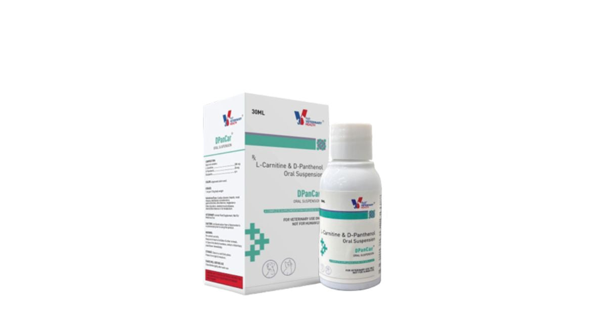 Drools DPanCar Large for Dogs & Cats | Cardiac Support Supplement