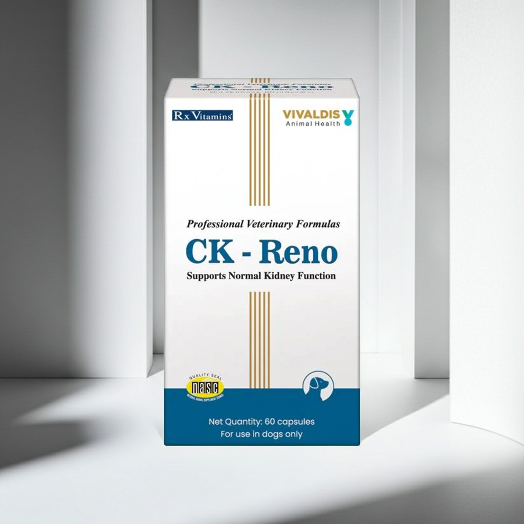 Vivaldis CK Reno Supplement for Dogs | Renal Support Formula for Kidney Health & Urinary Function | 60 Tablets