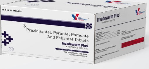 Drools Invadeworm Plus Dewormer Tablets for Dogs | Broad Spectrum Worm Treatment