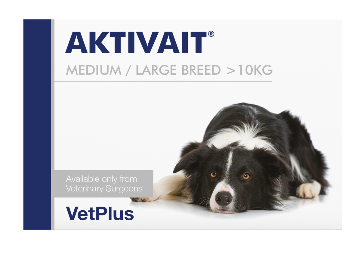 Aktivait Medium & Large Breed Dog Supplement for Brain Health
