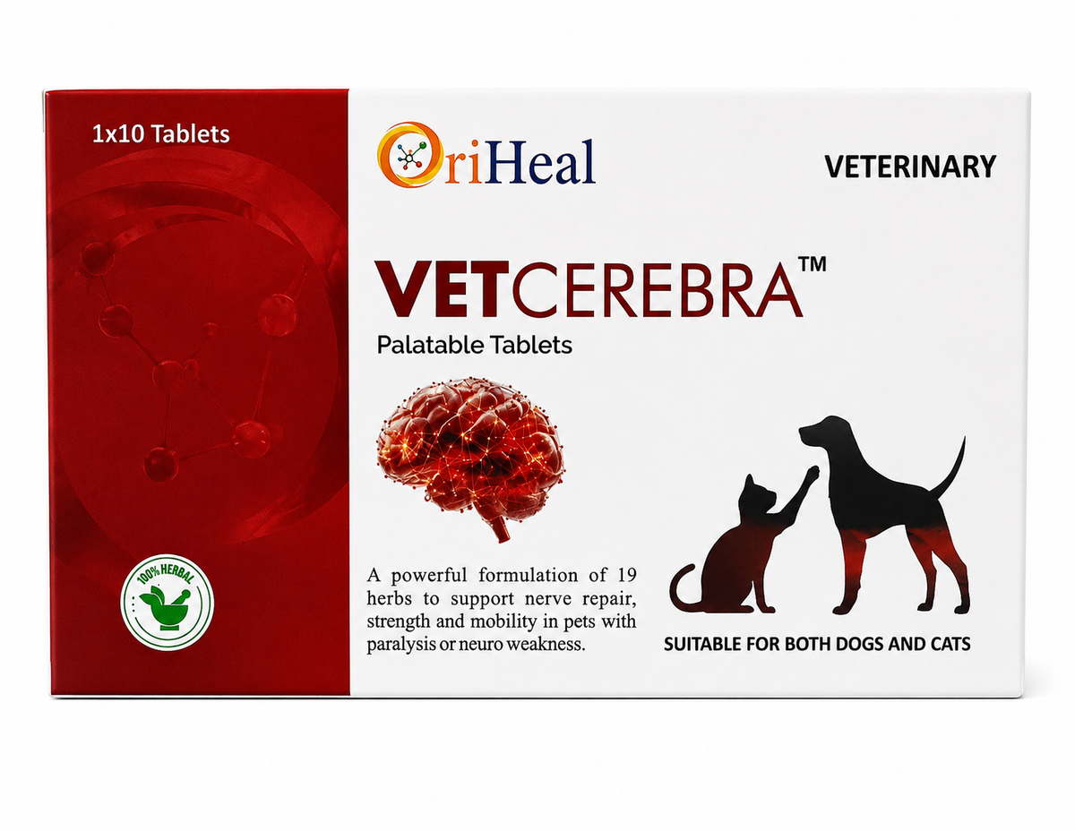 OriHeal VetCerebra™ Palatable Tablets for Dogs & Cats – Nerve Repair, Paralysis & Neuro Weakness (1x10 Tablets)