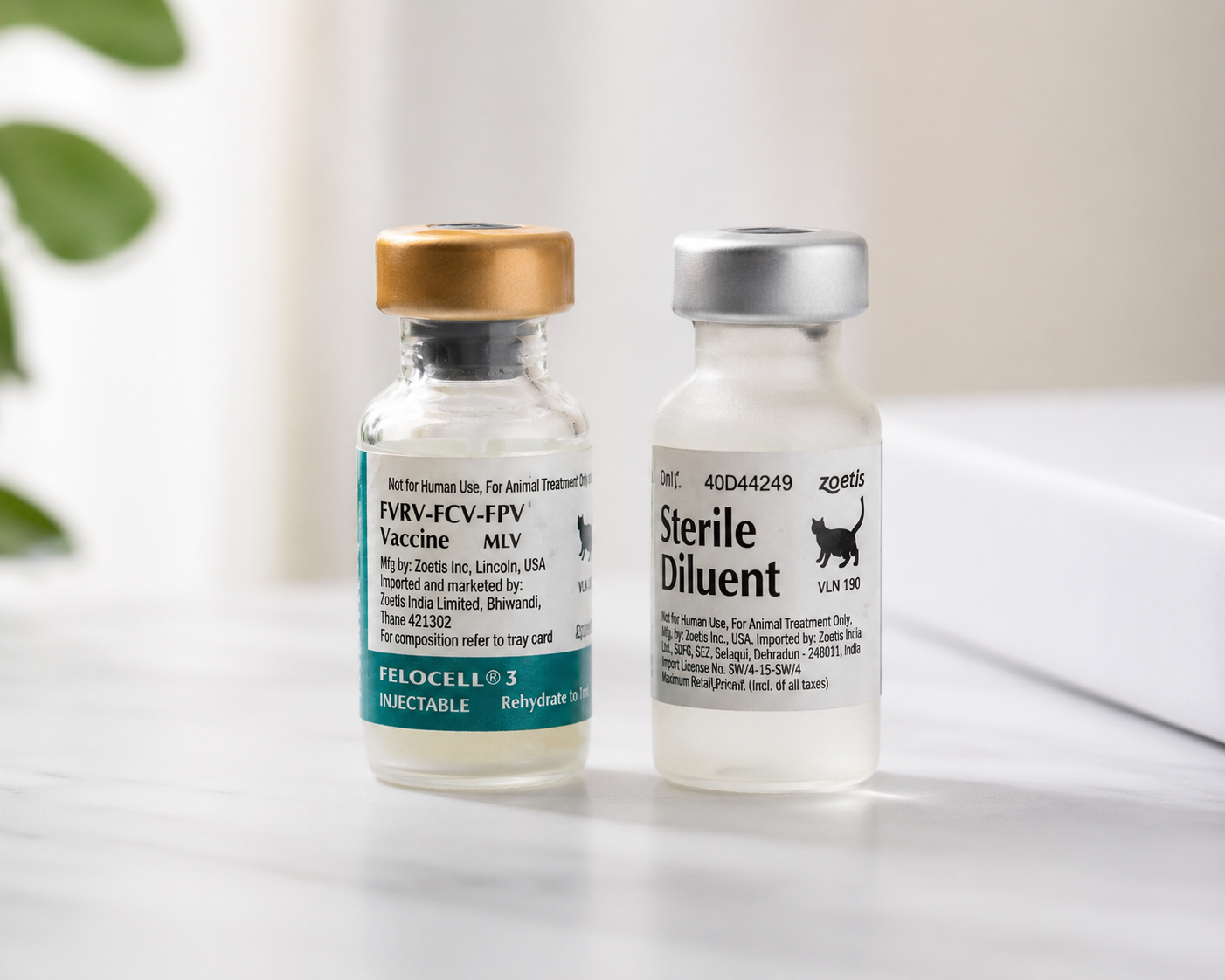 Zoetis Felocel-3  Cat & Kitten Vaccine 1 Dose | Core Protection Against Calicivirus, Rhinotracheitis & Panleucopenia