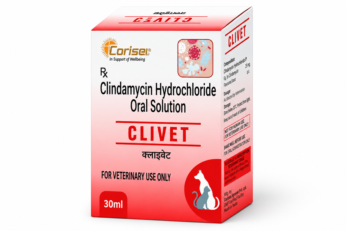 Corise Clivet Clindamycin Oral Solution 30ml for Dogs & Cats