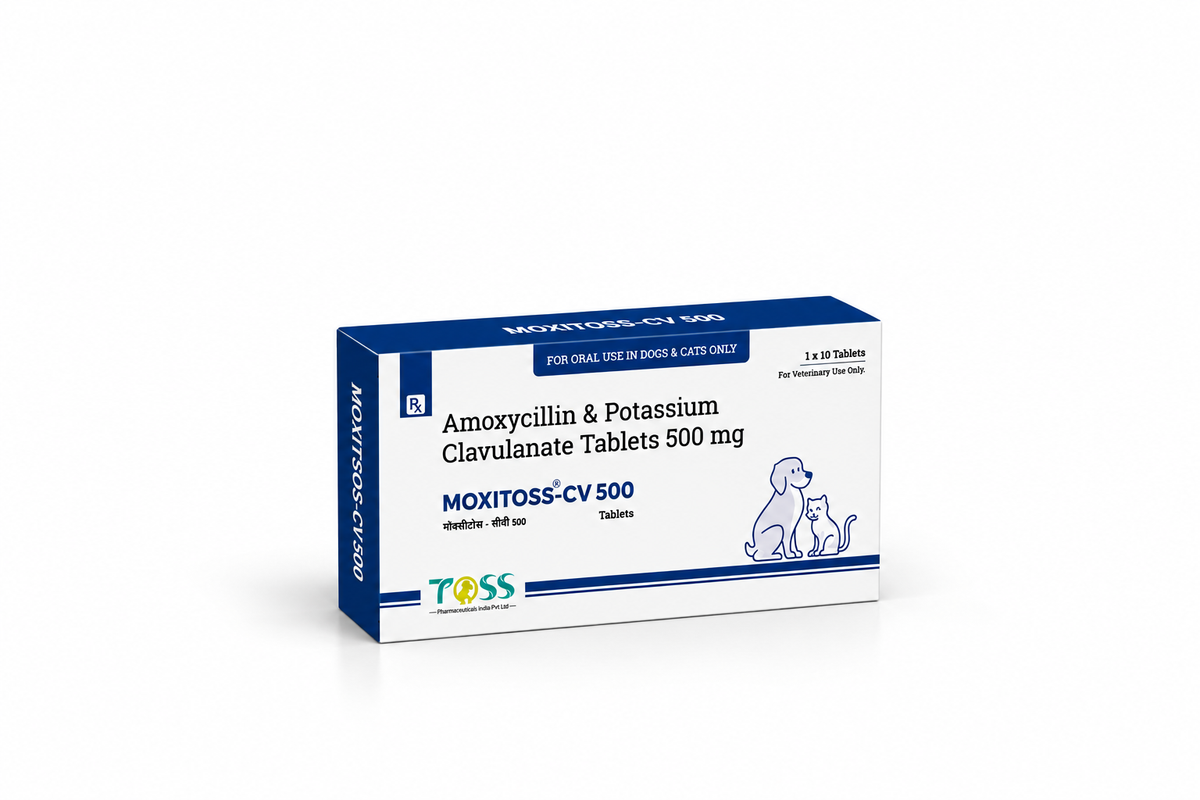 Toss Moxitoss-CV 500 Amoxycillin & Potassium Clavulanate Tablets 500mg, 10 Tablets, for Dogs & Cats