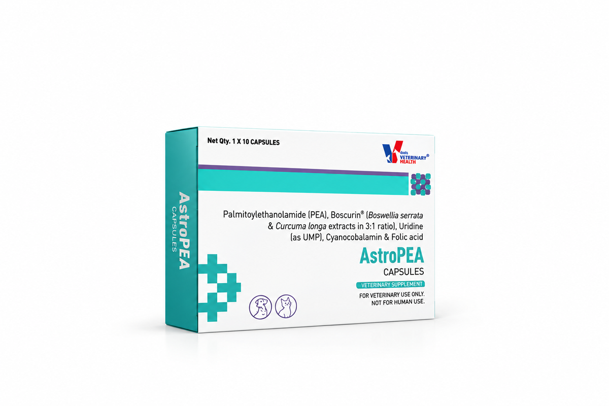 Drools AstroPEA Capsules 10 Pack for Dogs & Cats - PEA, Boswellia, Uridine, Vitamin B12 & Folic Acid