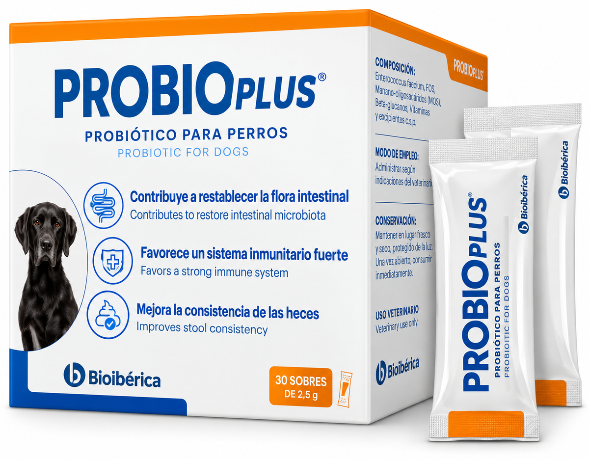 Bioibérica ProbioPlus Probiotic Sachets for Dogs | Enterococcus faecium + FOS + MOS + Beta-Glucans + Vitamins | Gut Microbiota Immune Support Stool Consistency | 30 Sachets x 2.5g