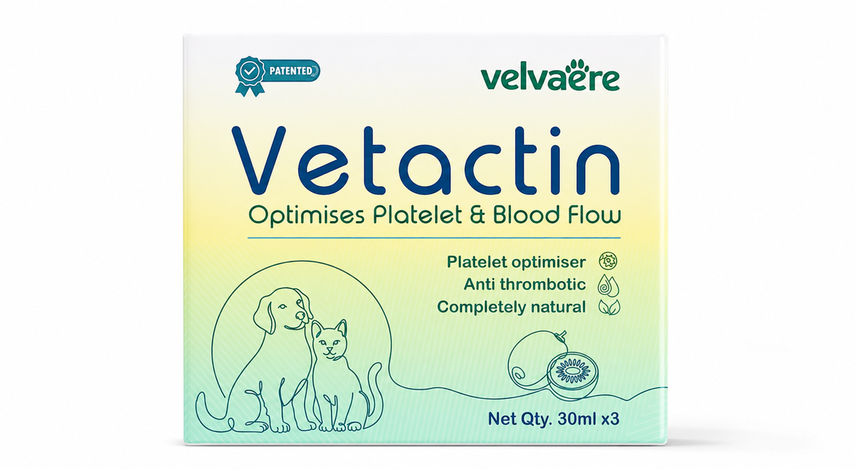 Velvaere Vetactin Syrup for Dogs & Cats | Platelet & Blood Flow Optimizer | Available in 30ml x 1 / 2 / 3 Pcs