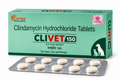 Corise Clivet Tablet for Dogs and Cats