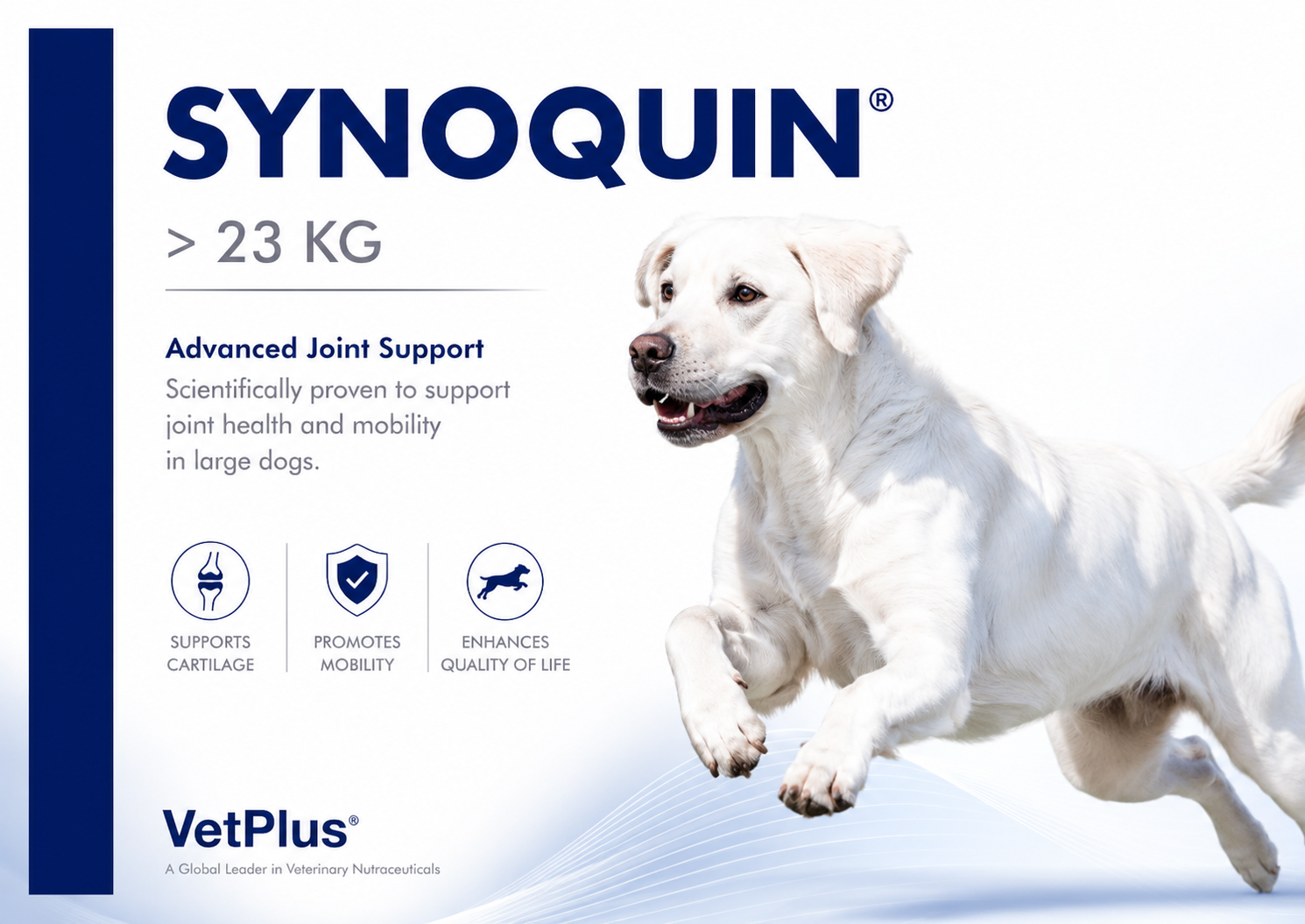 VetPlus Synoquin EFA Large Breed Tablets for Dogs & Cats