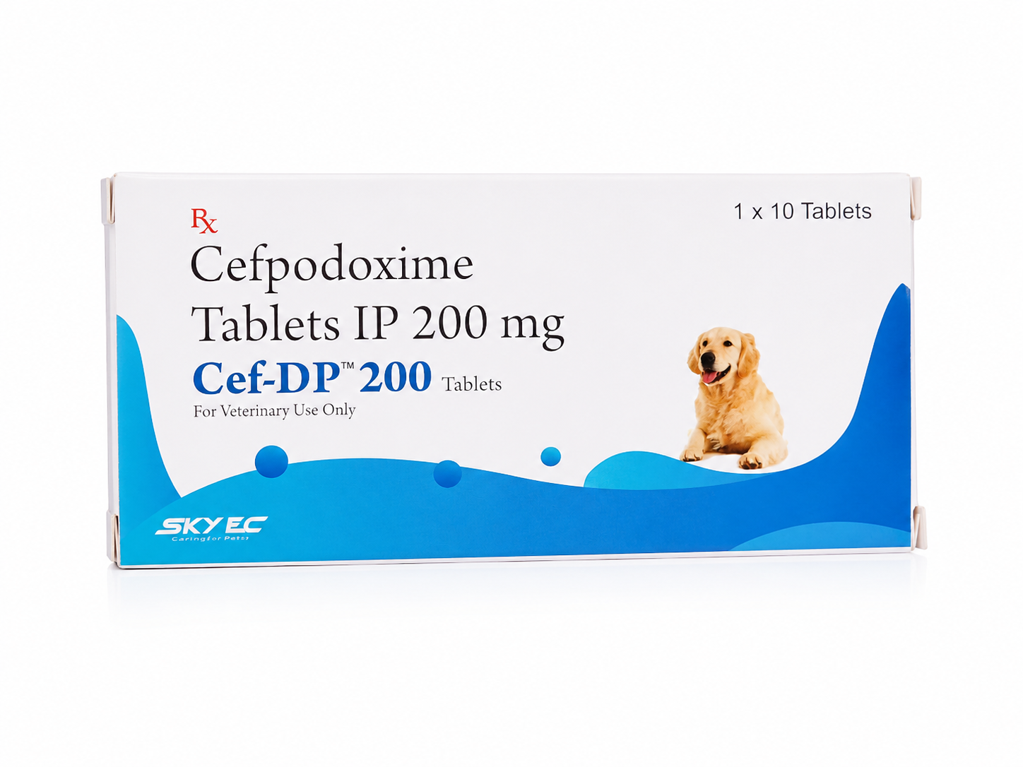 Skyec CEF-DP Tablet 10's