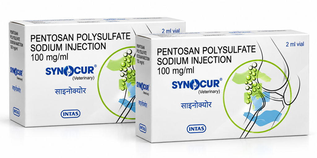 Intas Synocur Pentosan Polysulfate Sodium 100mg/ml Veterinary Injection for Dogs | Osteoarthritis, Osteochondrosis, Traumatic Joints, Lameness & Degenerative Joint Disease | 2ml | Veterinary Prescription