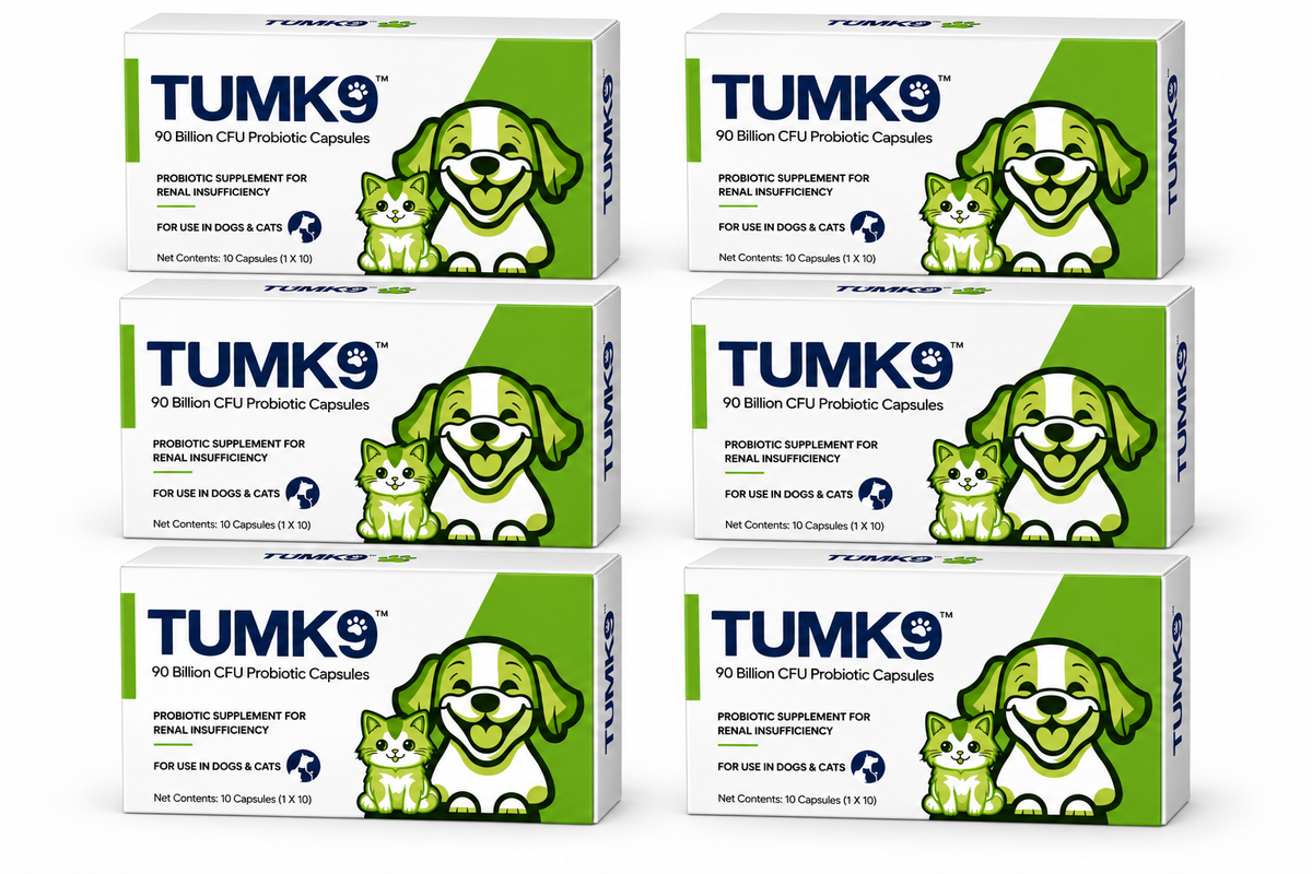 Enavant TUMK9 Probiotic Capsules for Dogs & Cats | 90 Billion CFU | Kidney Support & Uremic Toxin Elimination | Strip of 10 Capsules