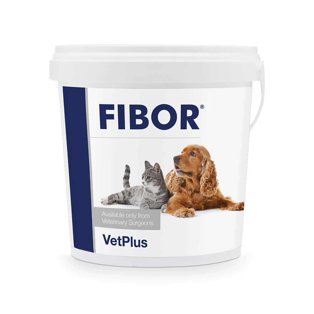 VetPlus Fibor 500g for Dogs & Cats | High Fiber Digestive Supplement